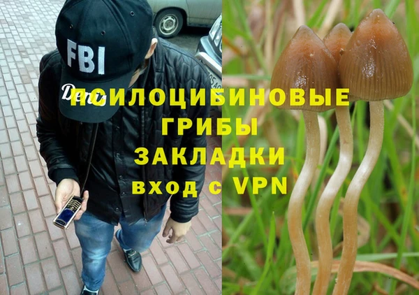 Альфа ПВП Елабуга
