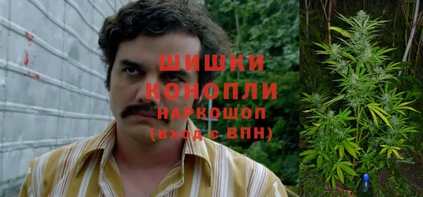 Альфа ПВП Елабуга