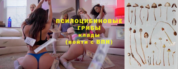 Альфа ПВП Елабуга