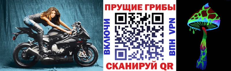 Псилоцибиновые грибы Psilocybe  Купить  Короча 