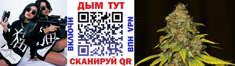 Конопля MAZAR  Купить  Короча 
